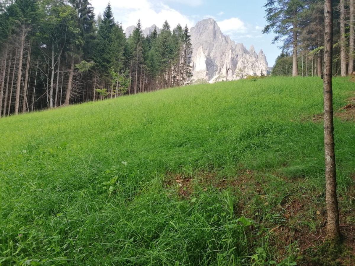 Baita Pra Petina Pale Di San Martino Siror Экстерьер фото