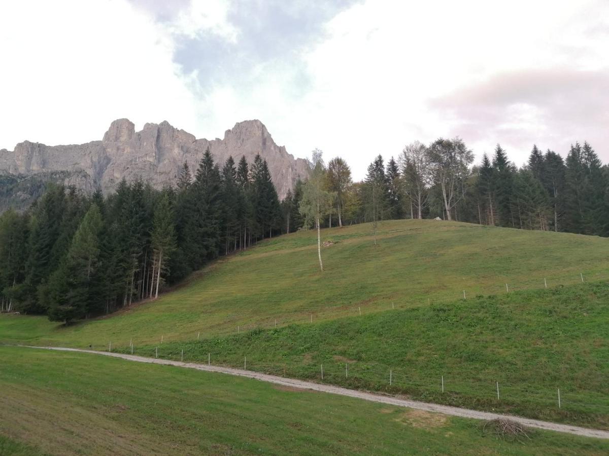 Baita Pra Petina Pale Di San Martino Siror Экстерьер фото