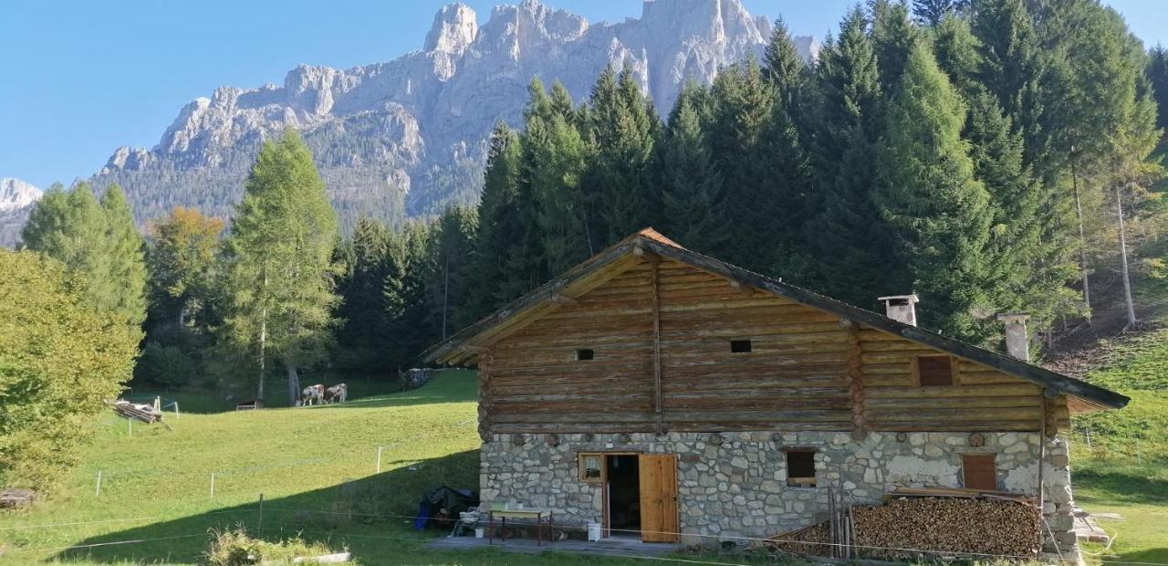 Baita Pra Petina Pale Di San Martino Siror Экстерьер фото