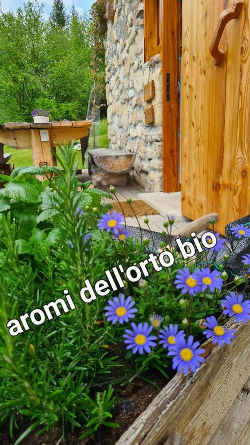 Baita Pra Petina Pale Di San Martino Siror Экстерьер фото